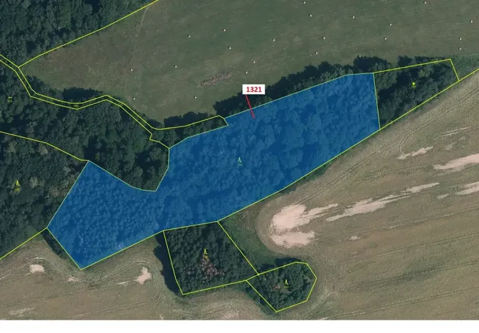 Dražba lesa, Višňová, 21506 m2