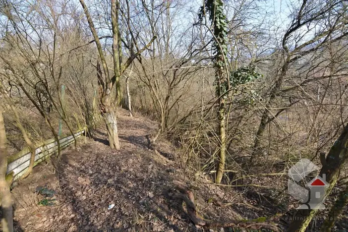 Prodej zahrady, Brno, Turistická, 207 m2