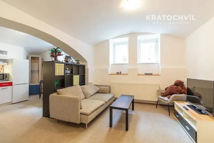 Prodej bytu 1+kk, Praha - Karlín, Březinova, 50 m2