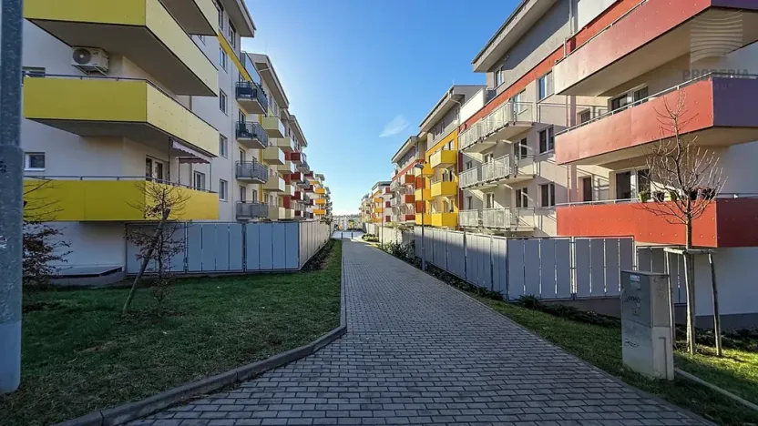 Pronájem bytu 2+kk, Brno, Hlinecká, 52 m2