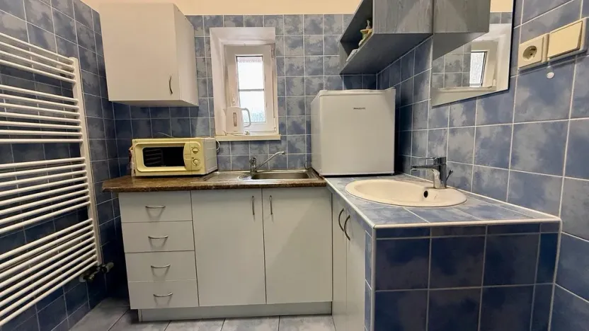 Pronájem obchodního prostoru, Ostrava - Mariánské Hory, Korunní, 30 m2