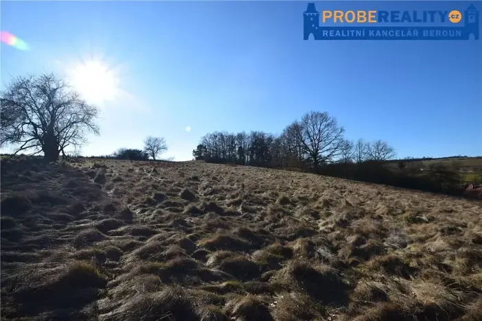 Prodej pozemku pro bydlení, Mirotice, 9991 m2