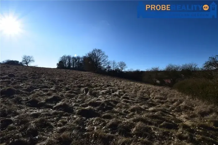 Prodej pozemku pro bydlení, Mirotice, 9991 m2