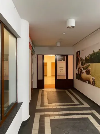 Prodej obchodního prostoru, Karlovy Vary, Divadelní náměstí, 100 m2