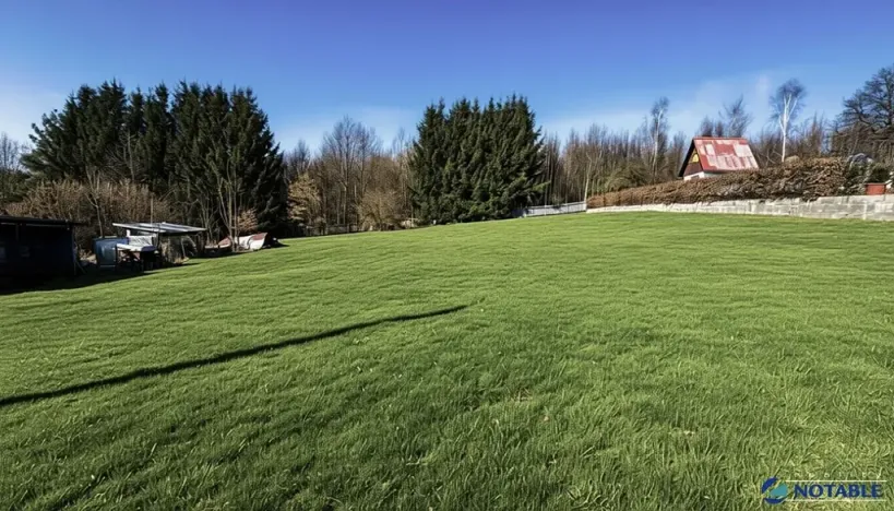 Prodej pozemku pro bydlení, Rybník, 868 m2