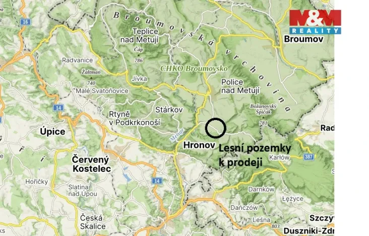 Prodej louky, Vysoká Srbská, 26000 m2