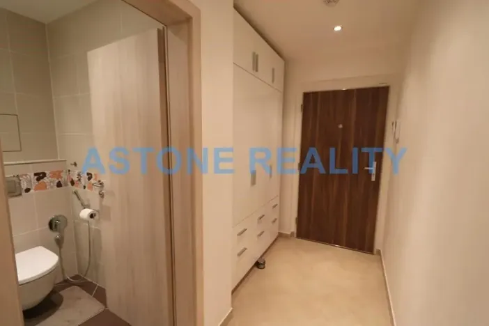 Pronájem bytu 4+kk, Praha - Žižkov, Olšanská, 110 m2