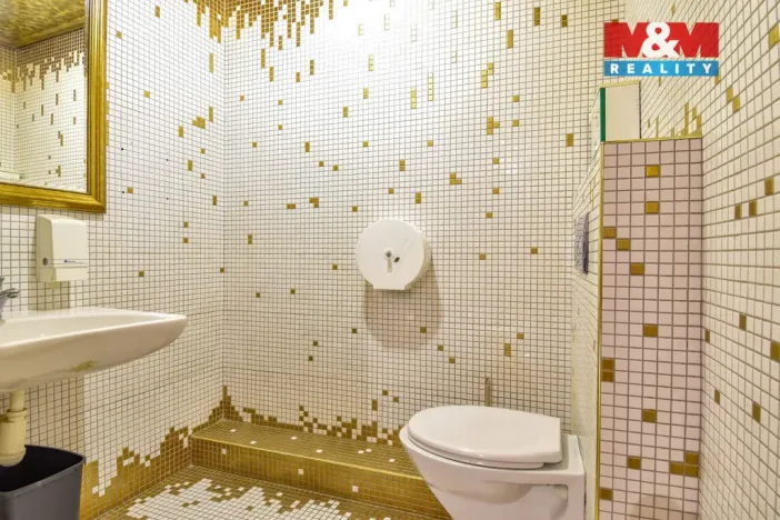 Pronájem obchodního prostoru, Ostrava - Hrabůvka, Horní, 250 m2