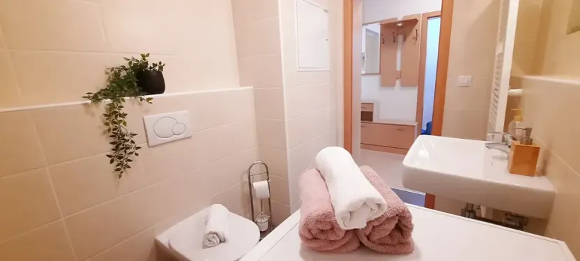 Pronájem bytu 1+kk, Brno, Šemberova, 51 m2