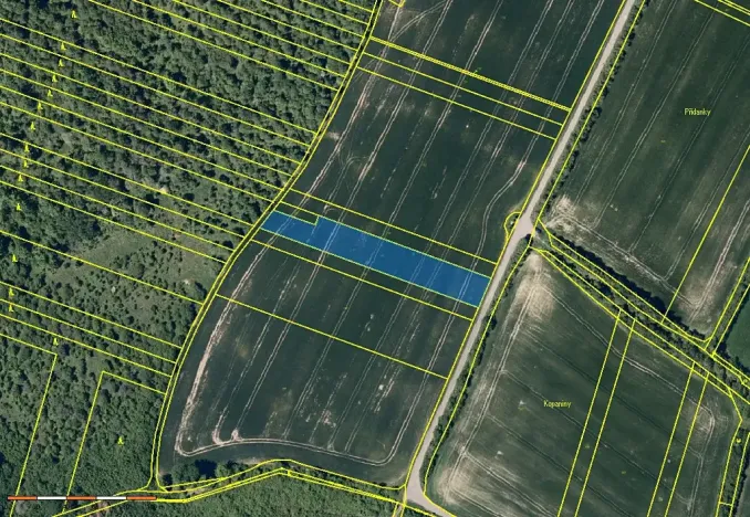 Prodej pole, Šarovy, 9623 m2