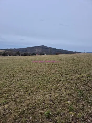 Prodej pozemku pro bydlení, Velká Bukovina, 950 m2