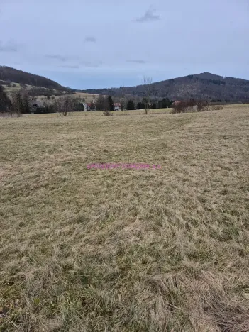 Prodej pozemku pro bydlení, Velká Bukovina, 950 m2