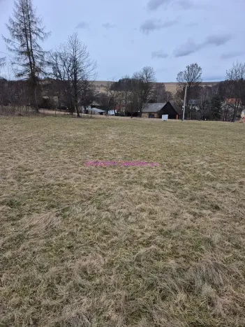 Prodej pozemku pro bydlení, Velká Bukovina, 950 m2