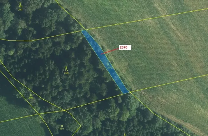 Dražba lesa, Písečná, 447 m2