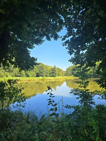 Prodej pozemku pro bydlení, Hamr na Jezeře, 3097 m2