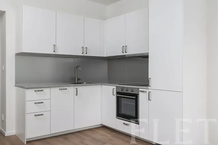 Pronájem bytu 2+kk, Praha - Žižkov, Baranova, 47 m2
