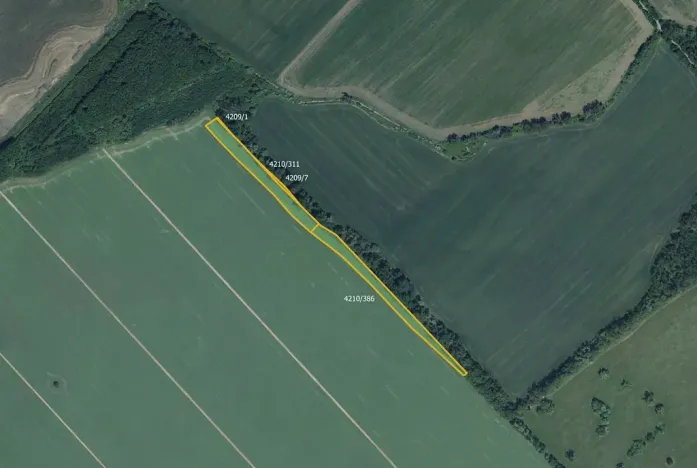 Prodej pole, Moravská Nová Ves, 29367 m2