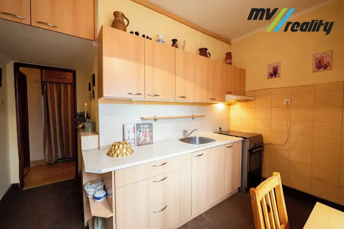 Prodej bytu 2+1, Lovosice, Sady pionýrů, 51 m2