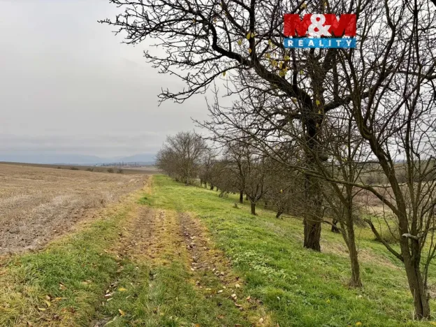 Prodej zahrady, Bezuchov, 901 m2