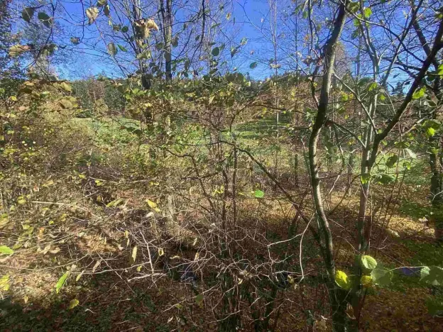 Prodej pozemku, Lučany nad Nisou - Jindřichov, 449 m2