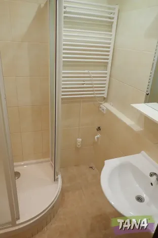 Pronájem bytu 2+kk, Mladá Boleslav, Václavkova, 44 m2