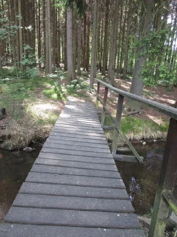 Prodej louky, Velký Šenov - Leopoldka, 3266 m2