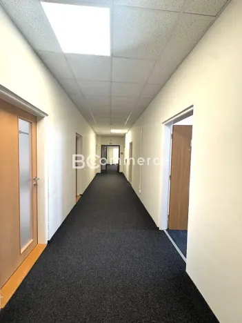 Pronájem kanceláře, Brno, Veveří, 61 m2