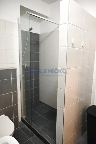 Pronájem bytu 2+kk, České Budějovice, U Lučního jezu, 61 m2