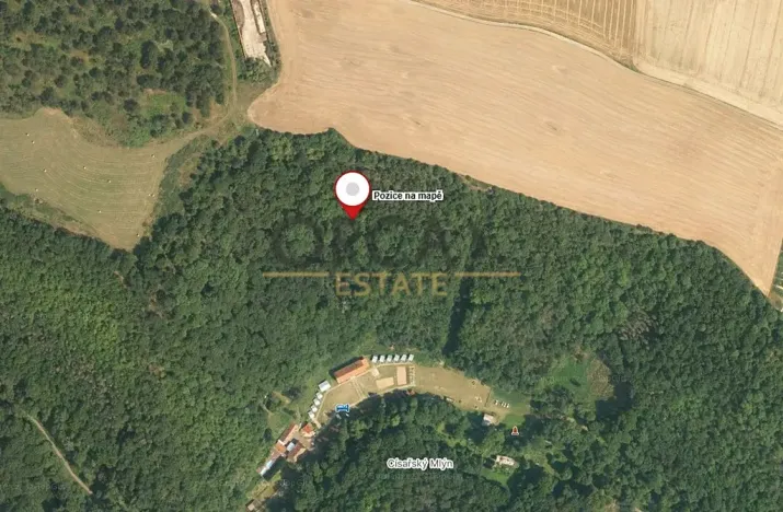 Prodej lesa, Malé Žernoseky, 7464 m2