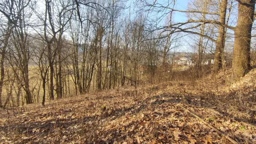 Prodej pozemku, Nemile, 705 m2