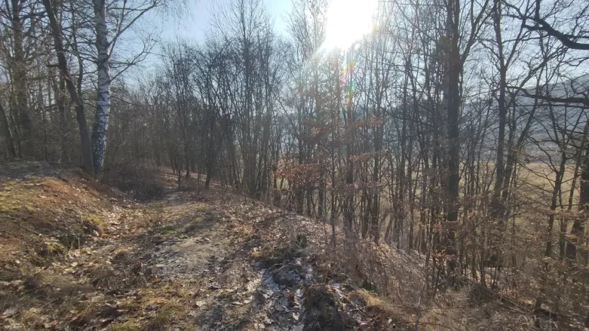 Prodej pozemku, Nemile, 705 m2