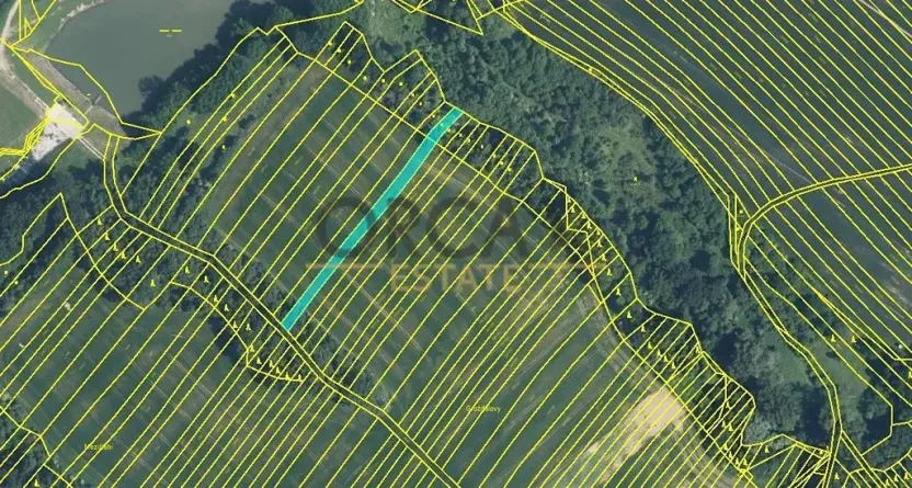 Prodej pole, Mistřice, 6356 m2