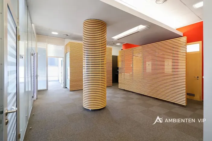 Pronájem kanceláře, Brno, 248 m2