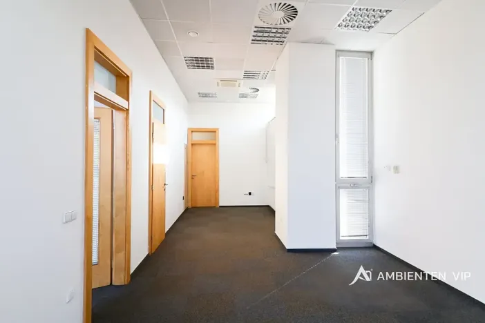 Pronájem kanceláře, Brno, 248 m2