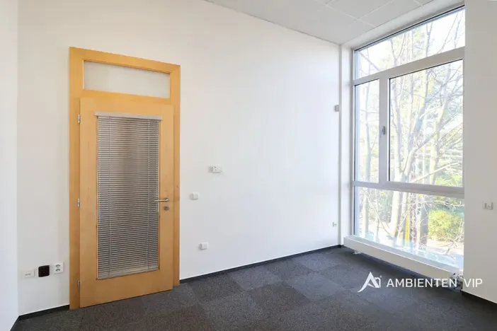 Pronájem kanceláře, Brno, 248 m2