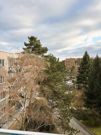 Pronájem bytu 3+1, Brno, Horní, 68 m2