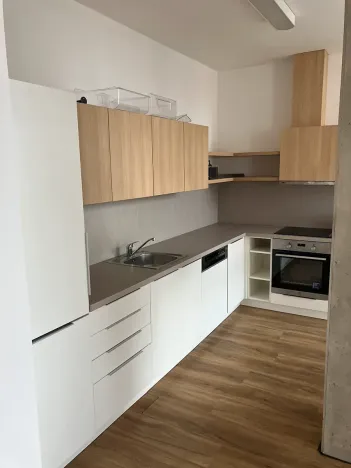 Pronájem bytu 2+kk, Praha - Karlín, Thámova, 95 m2