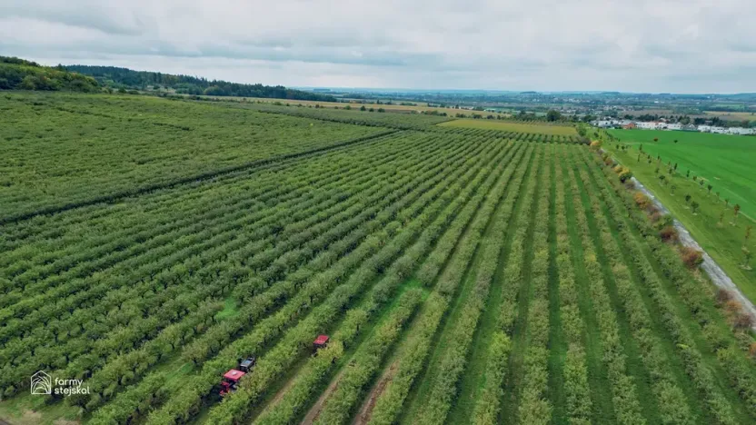 Prodej sadu/vinice, Červené Pečky, 13966 m2