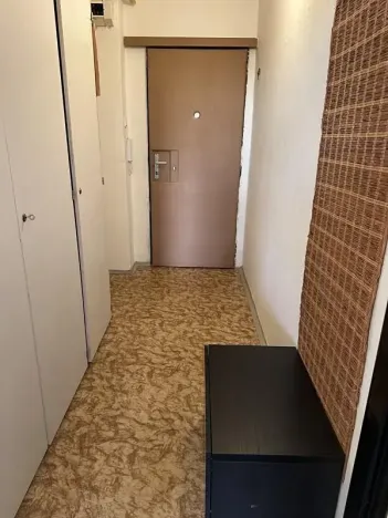 Pronájem bytu 1+kk, Praha - Krč, Lukešova, 35 m2