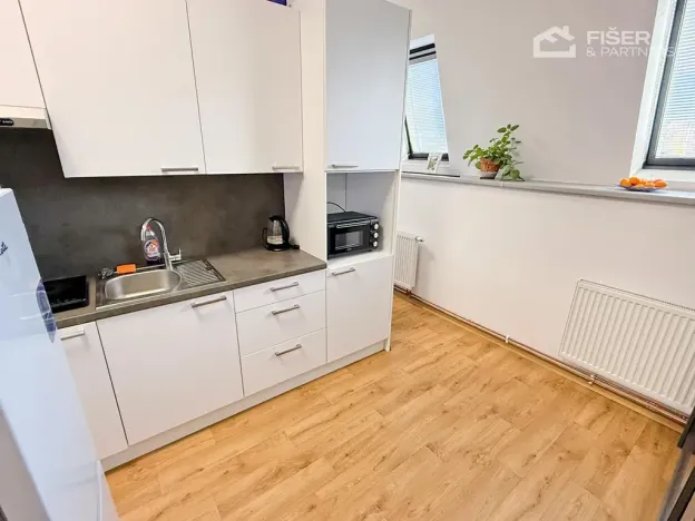Pronájem bytu 1+kk, Valašské Meziříčí, Křižná, 30 m2