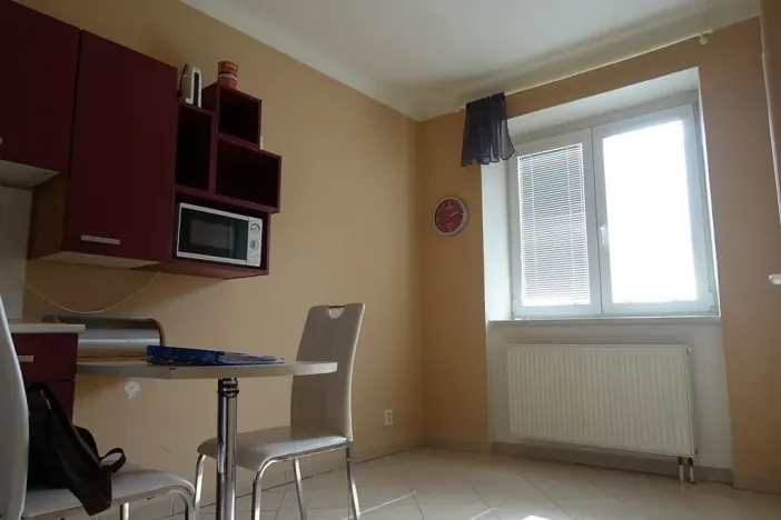 Pronájem bytu 1+1, Brno, Slatinská, 48 m2