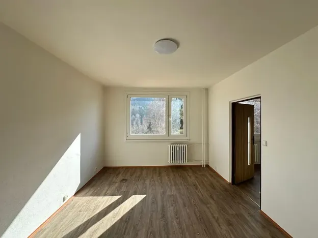 Pronájem bytu 1+1, Děčín, Na Pěšině, 36 m2