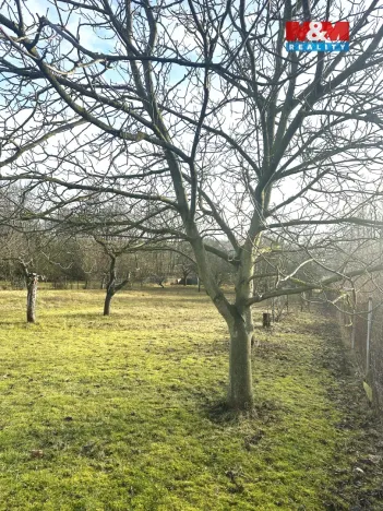 Prodej pozemku pro bydlení, Oskořínek, Ronovská, 1594 m2