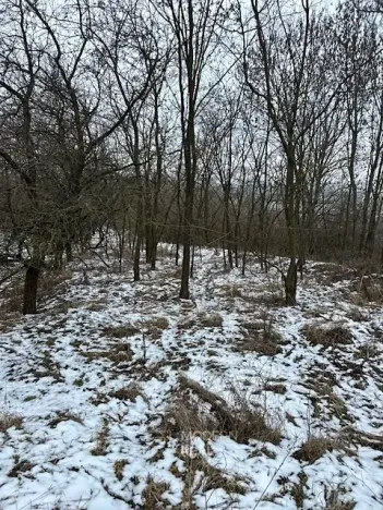 Prodej zahrady, Hustopeče, 4050 m2