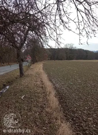 Dražba pozemku, Janovice nad Úhlavou, 4609 m2