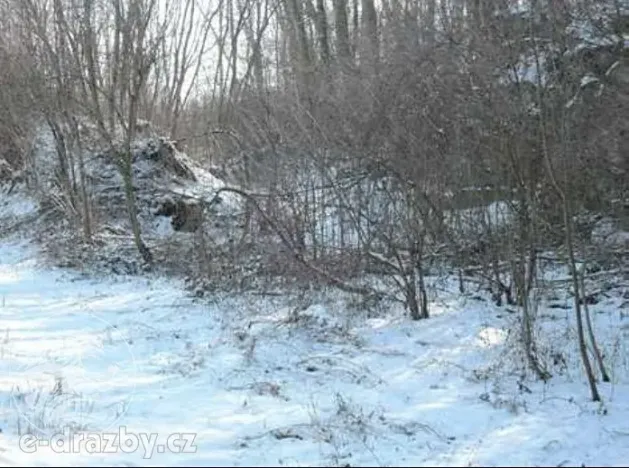 Dražba pozemku, Niměřice, 1982 m2
