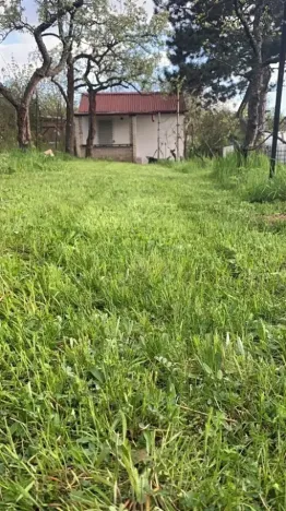 Pronájem zahrady, Brno, 340 m2