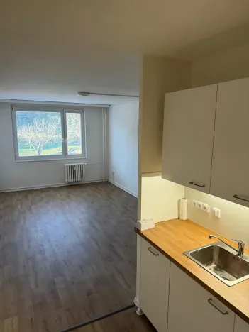 Pronájem bytu 2+kk, Nové Strašecí, Zahradní, 43 m2