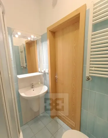 Pronájem bytu 1+kk, České Budějovice, Lipenská, 33 m2