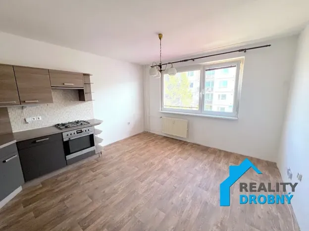 Pronájem bytu 1+1, Děčín, Pražská, 42 m2